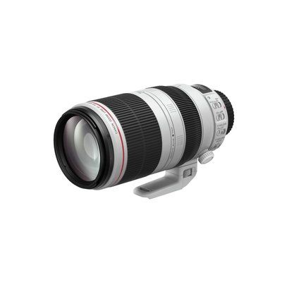 Canon EF 100-400 mm f/4.5-5.6L II USM IS Telephoto Zoom Lens