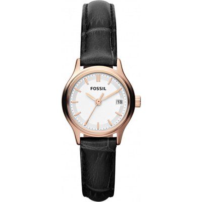 Fossil Archival Watch ES3169