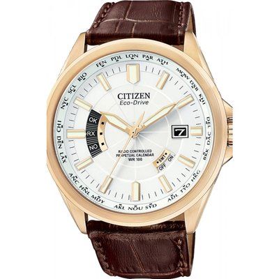 Men's Citizen World Perpetual A-T Radio Controlled Eco-Drive Watch CB0013-04A